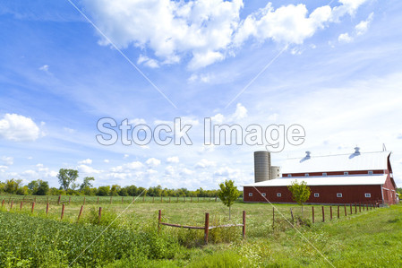 美国农场图片素材(图片编号:50246825)_工农业