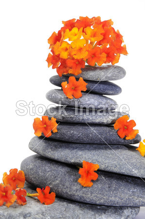 禅宗石头和鲜花图片素材(图片编号:50254034