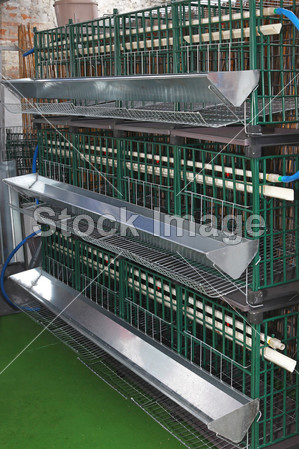 鸡笼子图片素材(图片编号:50266513)_工农业图