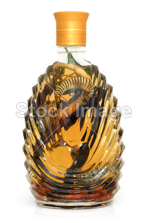 瓶酒精与蛇图片素材(图片编号:50271151)_其他