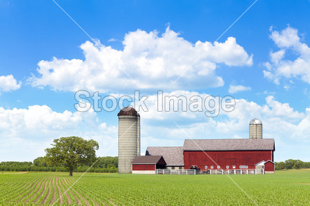 美国农田图片素材(图片编号:50276898)_工农业