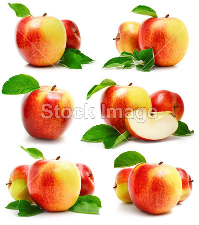 设置剪切和绿色叶子红苹果水果(图片编号5028