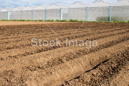 Soil preparation for sowing vegetable in field ag