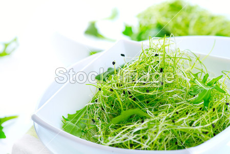 Microgreens。健康的绿色沙拉。小豆芽。饮食