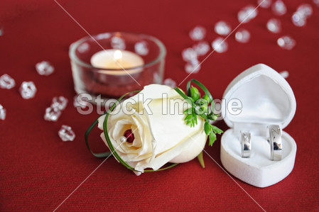 婚礼装饰羽毛玫瑰和金戒指图片素材(图片编号