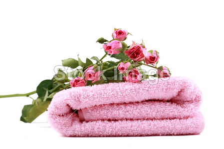上一条粉红色毛巾一些小粉红玫瑰图片素材(图