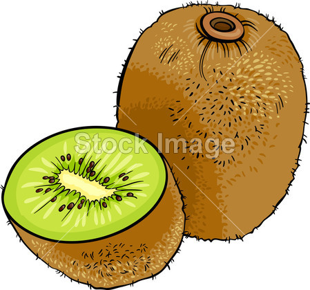 猕猴桃水果卡通插图图片素材(图片编号:50305