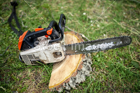 Professional chainsaw on pile of fresh cut wood