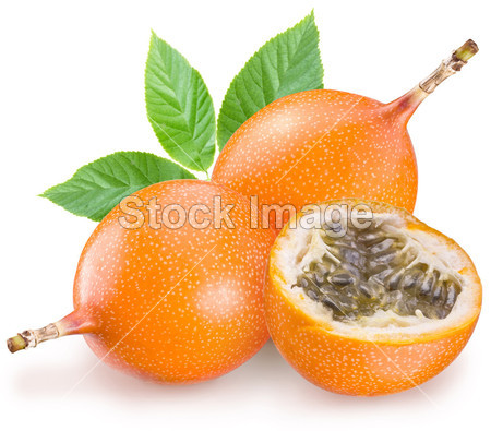 百香果一个白色背景图片素材(图片编号:50318