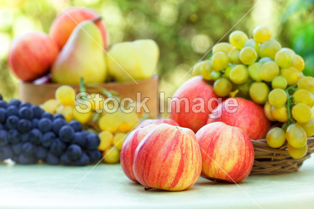 Apples, grapes and pears图片素材(图片编号:5