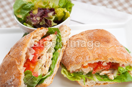 恰巴塔帕尼尼三明治配鸡和番茄图片素材(图片
