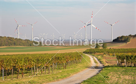 d turbine and autumn vineyards in east Austria图