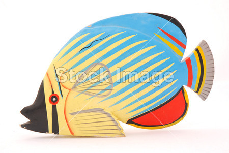 五颜六色的鱼图片素材(图片编号:50361506)_其