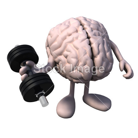 胳膊和腿的重量训练与大脑器官图片素材(图片
