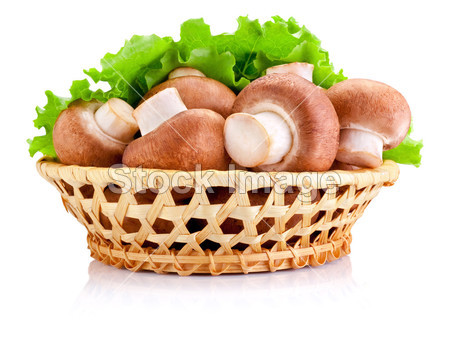 新鲜字段蘑菇在篮子和树叶的绿色沙拉隔离图片