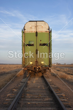 股票铁路车辆、 牲畜运输图片素材(图片编号:5