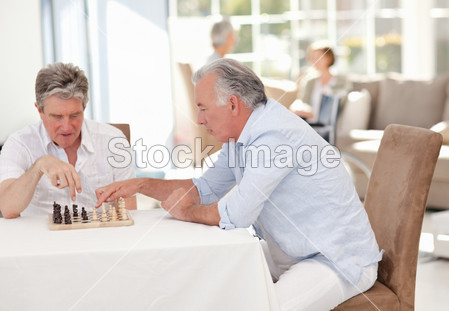 在客厅里下棋的老人图片素材(图片编号:50435