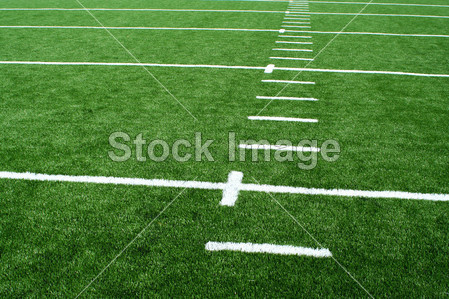 阿斯特罗草皮足球场图片素材(图片编号:50439