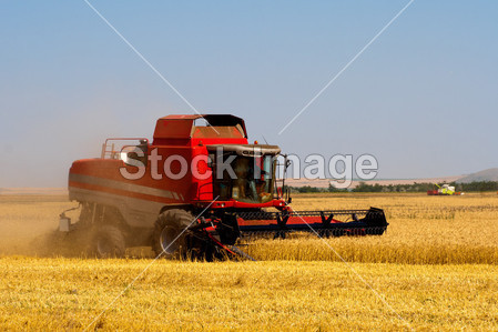小麦联合收割机图片素材(图片编号:50495957