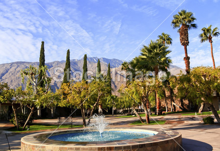 风扇棕榈树蓝色喷泉加州棕榈泉图片素材(图片