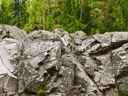 在森林里的石头图片素材(图片编号:50512376