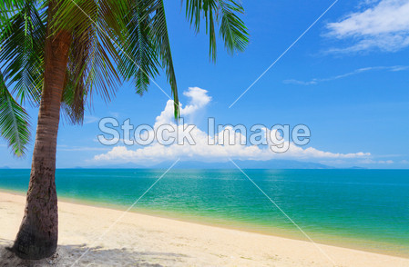 全景热带海滩(图片编号50513045)_自然风光图