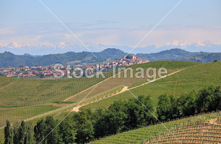 Small italian town among green hills and vineya