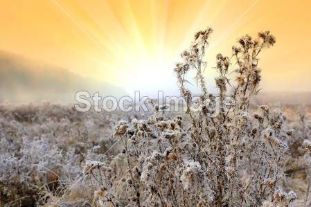 柠檬排毒霜适合什么季节用,用过需要清洗吗?清