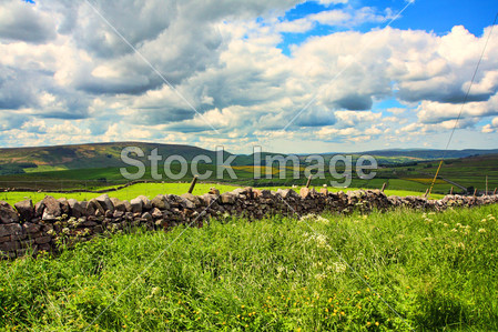 美丽的风景与石头墙,约克郡,英格兰,英国图片素