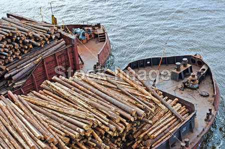 木材运输船只图片素材(图片编号:50552354)_交