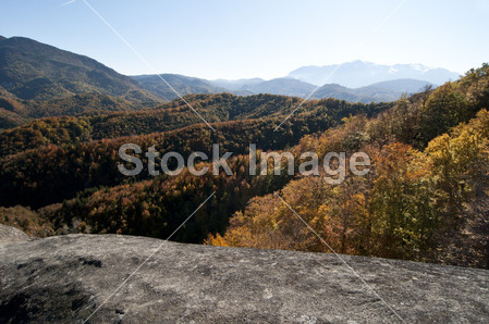 秋天彩色森林的山风景与前景中的悬崖图片素材