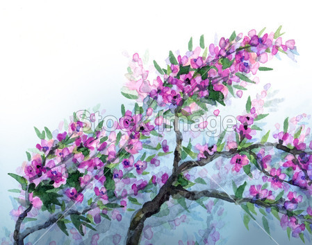 ackground. Purple flowers on tree branches图片