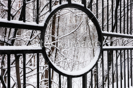 在冬天的沉默大雪覆盖城市公园图片素材(图片
