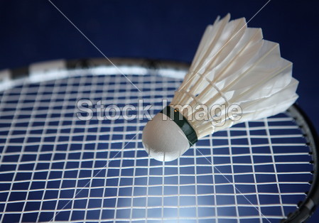 羽毛球拍和羽毛球在它的串图片素材(图片编号