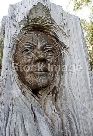 毛利人的雕刻往往是在新西兰的公园图片素材(