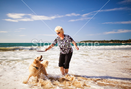 与金毛猎犬在海滩上玩的女人图片素材(图片编