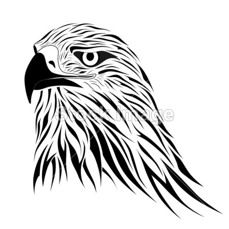 鹰、 纹身图片素材(图片编号:50715328)_抽象