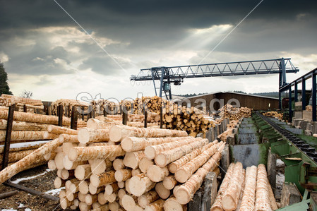Sawmill (lumber mill)图片素材(图片编号:50717