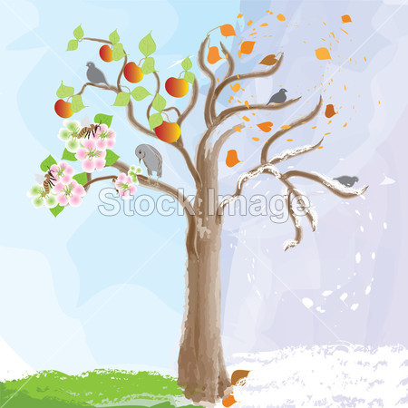抽象苹果树作为符号的季节性变化图片素材(图