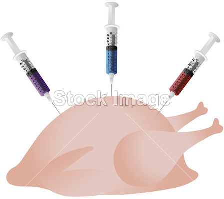 鸡注射了激素和类固醇的插图图片素材(图片编