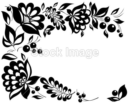 黑白花和叶子。花艺设计元素的复古风格图片素