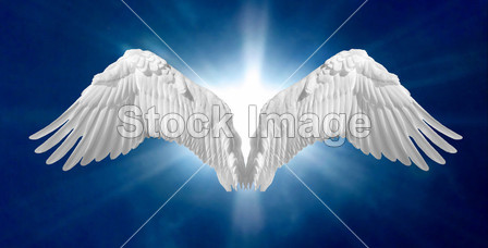 天使的翅膀 2图片素材(图片编号:50743977)_抽