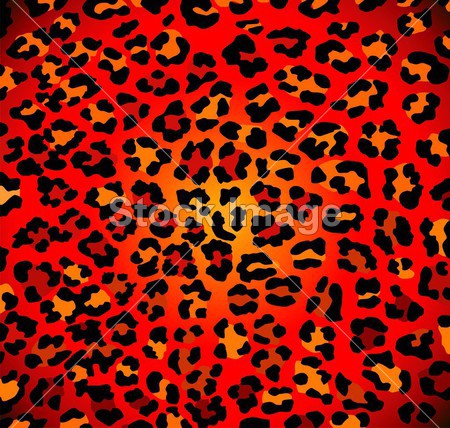 抽象豹子图案图片素材(图片编号:50749148)_抽