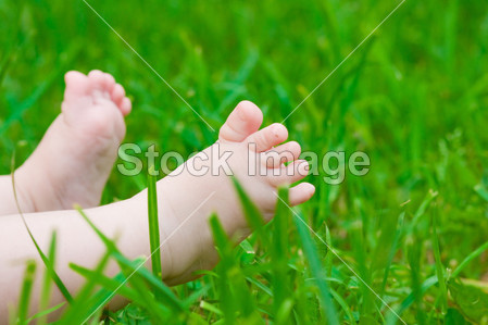 在新鲜的绿色草地上小小的婴儿脚图片素材(图