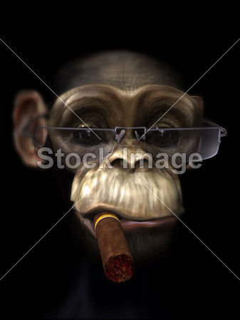 先生黑猩猩皮条客图片素材(图片编号:5075537