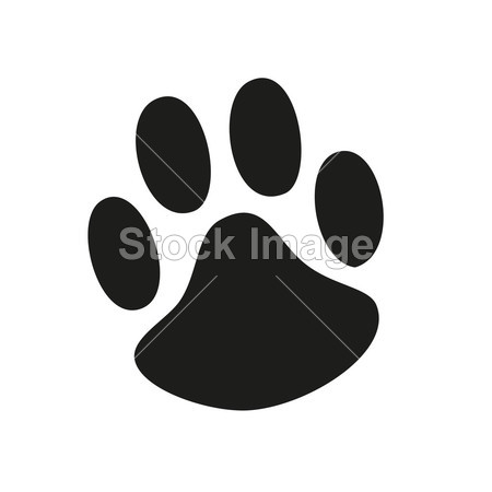 动物爪子宠物狼爪爪熊足迹动物爪子猫爪子指纹