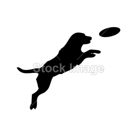 黑色轮廓的跳跃狗和飞盘动物宠物玩游戏图片素