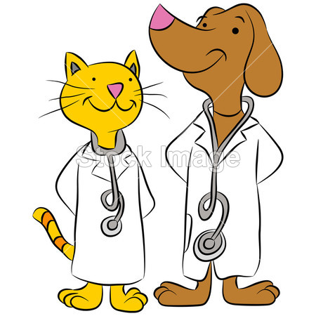 猫和狗宠物医生图片素材(图片编号:50768876