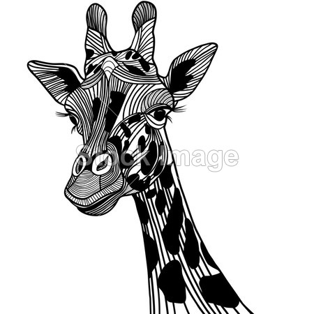 长颈鹿头动物插画 t 恤。草绘纹身设计图片素材