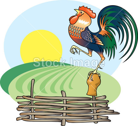 唱歌公鸡和早晨的太阳图片素材(图片编号:507